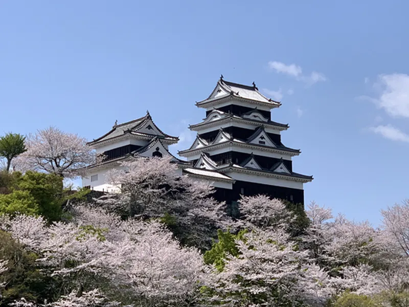 출처 : 오즈성 (구글 지도)